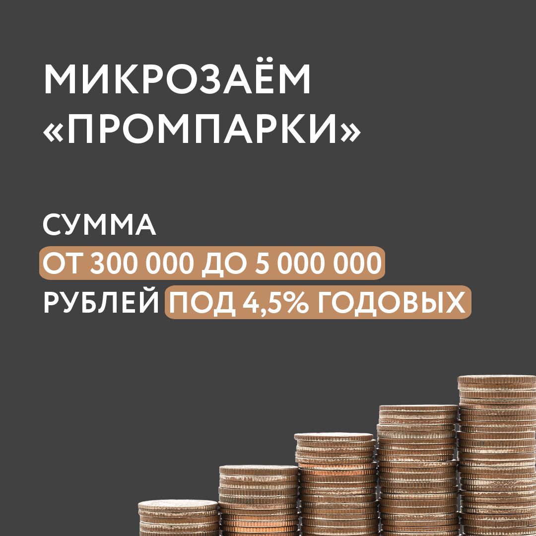 Финансово поддержим промышленные парки Татарстана